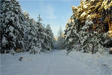 模拟建造科幻策略游戏《星球基地2》Steam页面 后年发售